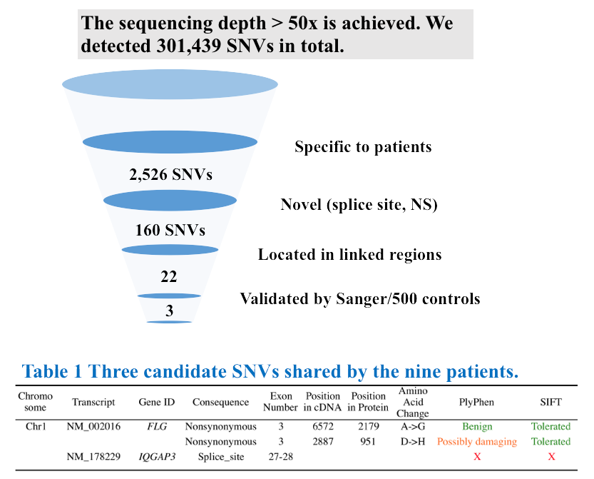 図：The sequencing depth > 50x is achieved. We detected 301,439 SNVs in total.