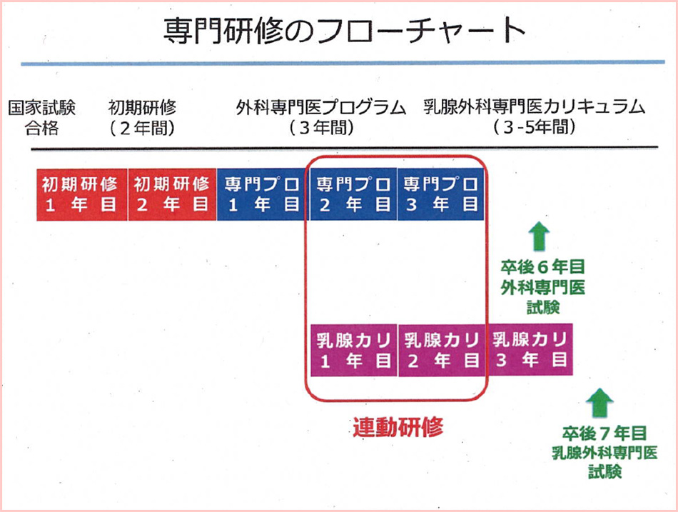 専門研修のフローチャート