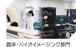 臨床・バイオイメージング部門