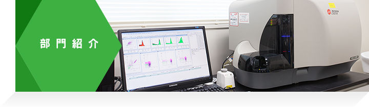 部門紹介