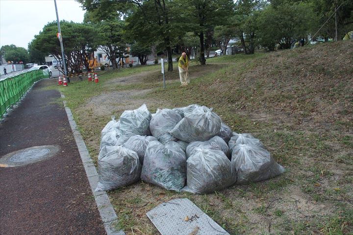 刈り取った草(一部)