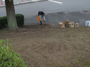 美化作業にあたる作業員