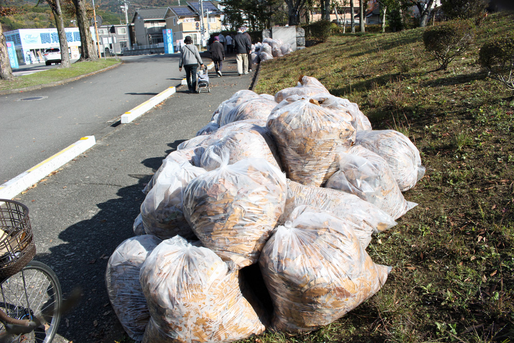 回収した落ち葉の山