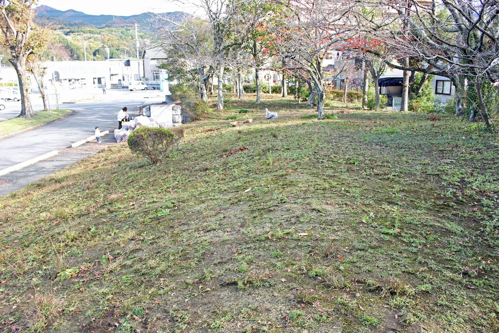 綺麗になった斜面