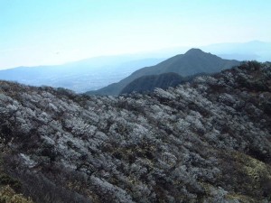 大篦柄岳より御岳