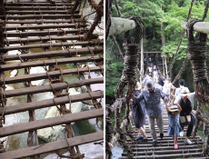 trip03