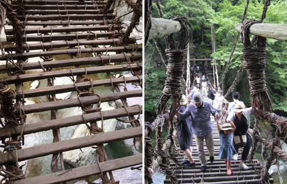 写真：かずら橋