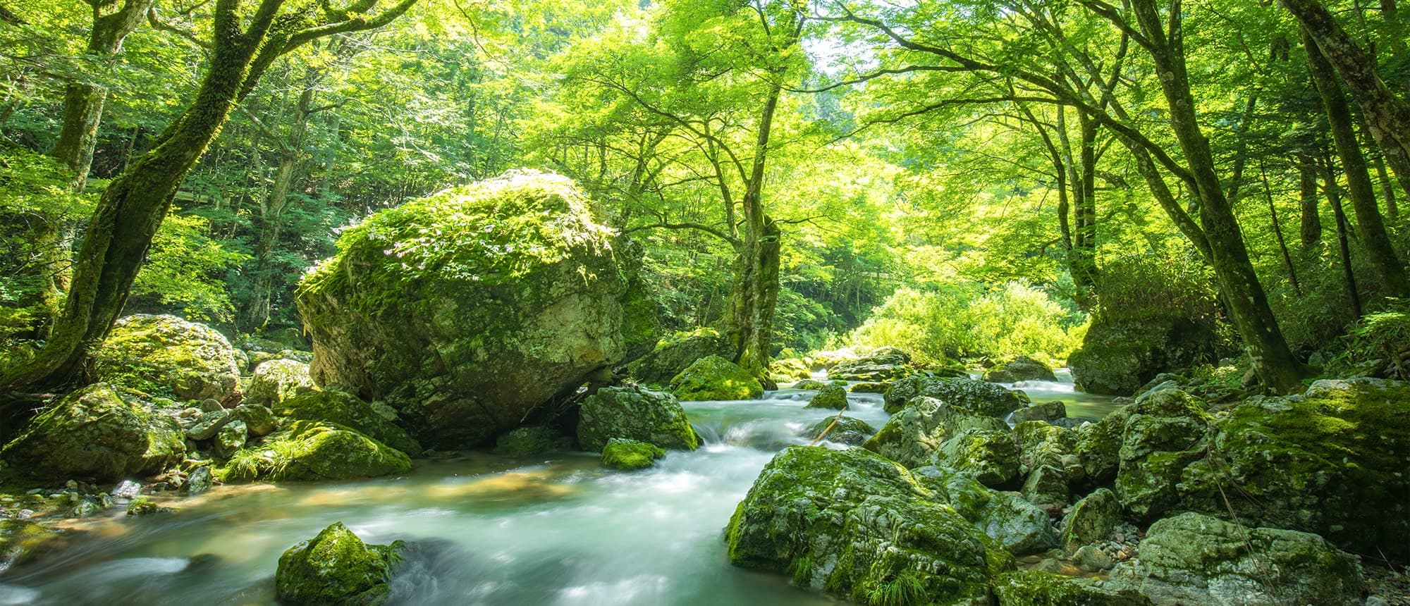 写真：小田深山