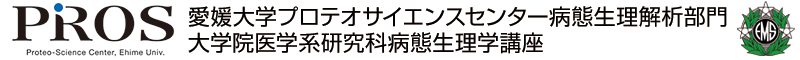 愛媛大学プロテオサイエンスセンター病態生理解析部門 大学院医学系研究科病態生理学講座