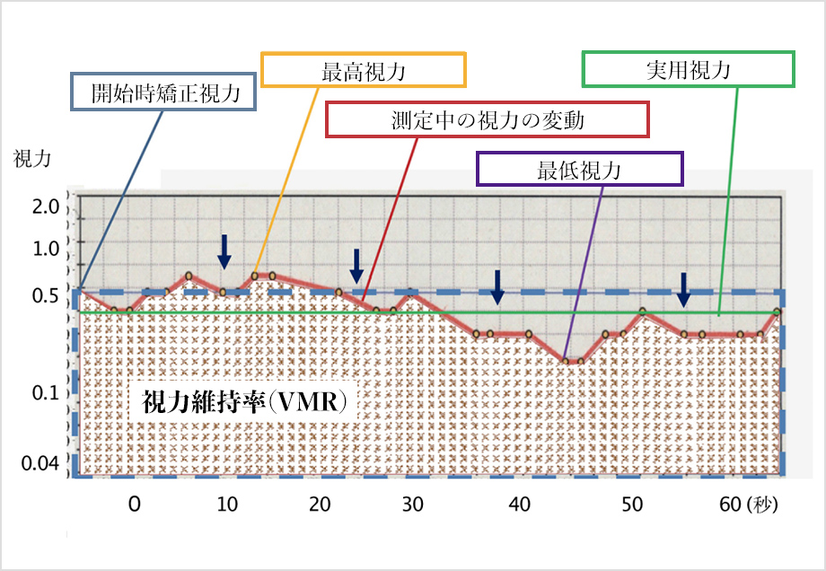 画像：実用視力検査パラメーター