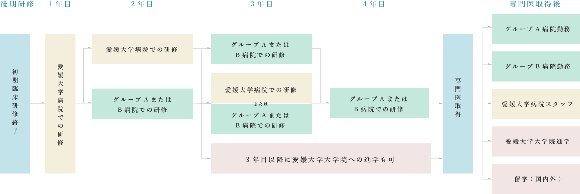 イメージ：愛媛大学眼科学教室の研修シナリオ