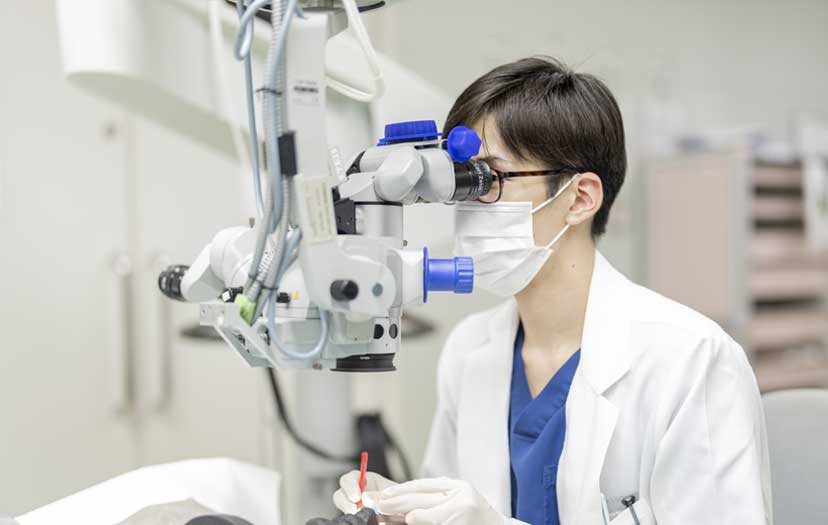 豚眼を使用した手術手技トレーニング
