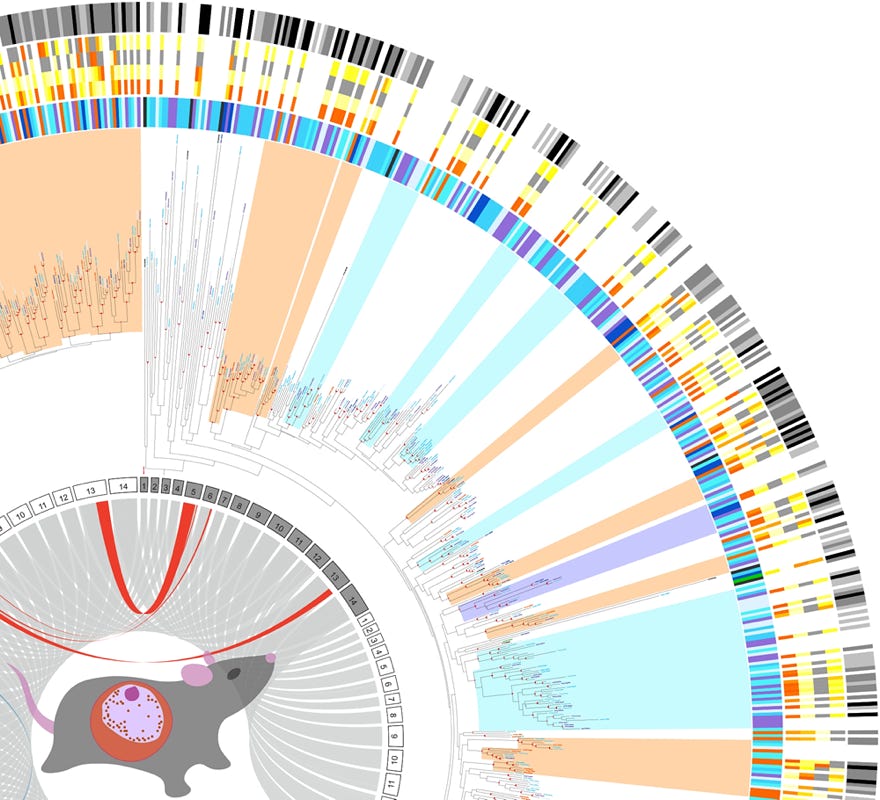 Culleton, Malaria, Japan