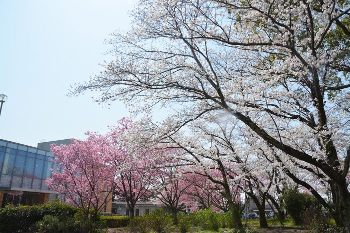 沿革