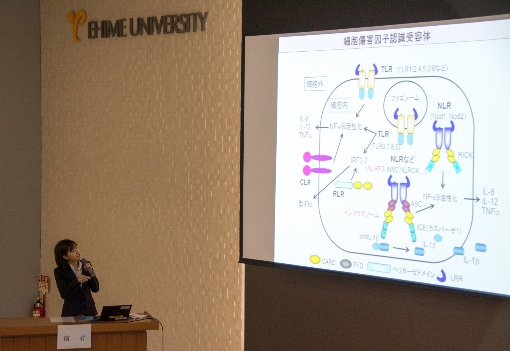 発表の様子